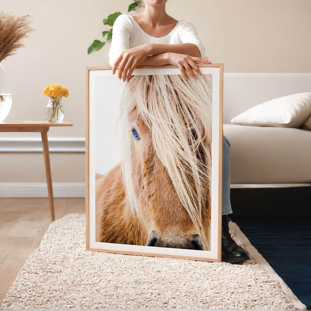 Wild-Icelandic-Pony-Horse-Photo-Wall-Art-Print.jpg