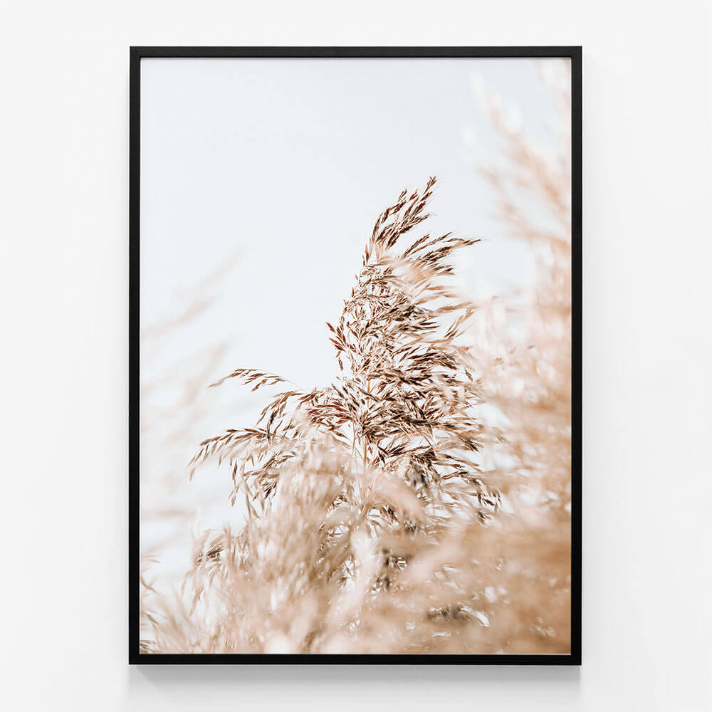 Wild Pampas