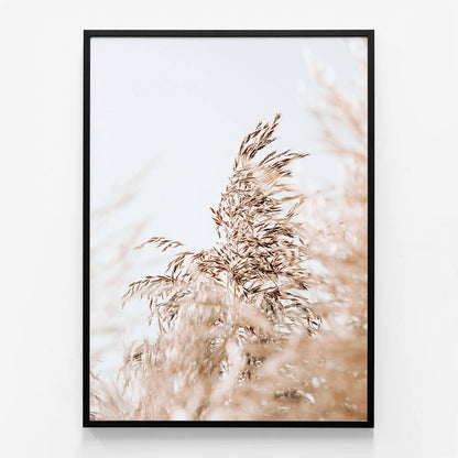 Wild Pampas