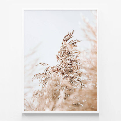 Wild Pampas