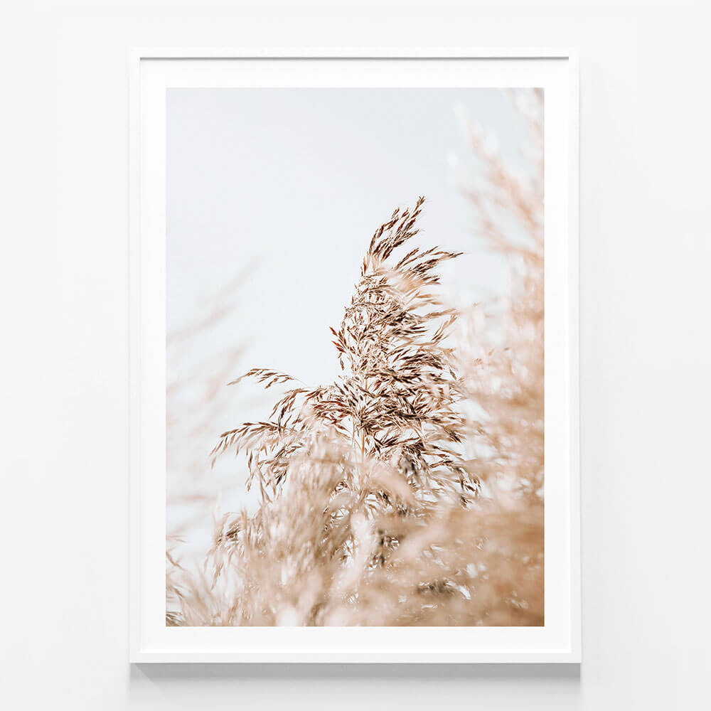 Wild Pampas