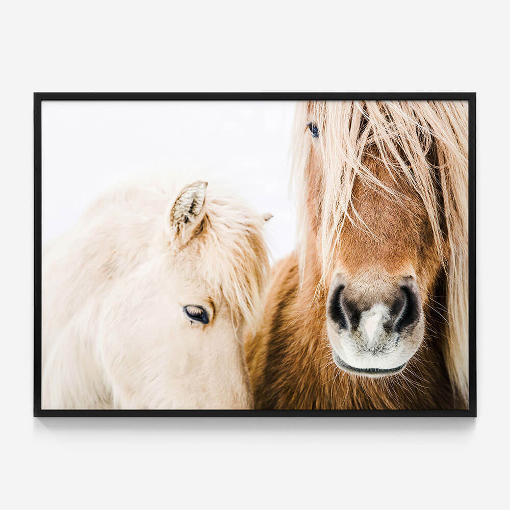 Wild Ponies