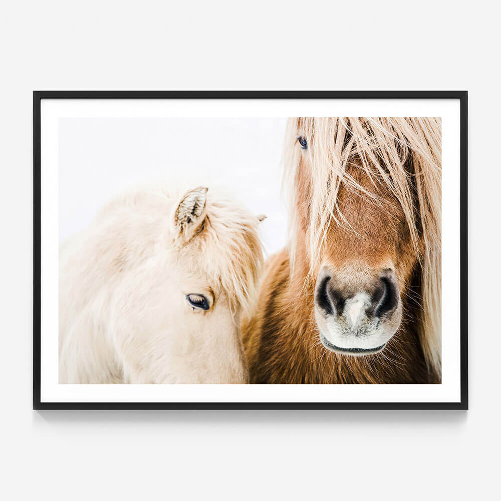 Wild Ponies