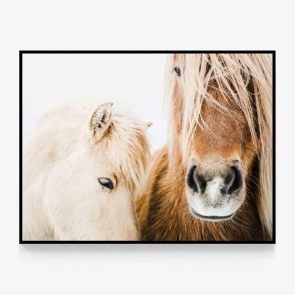 Wild Ponies Canvas