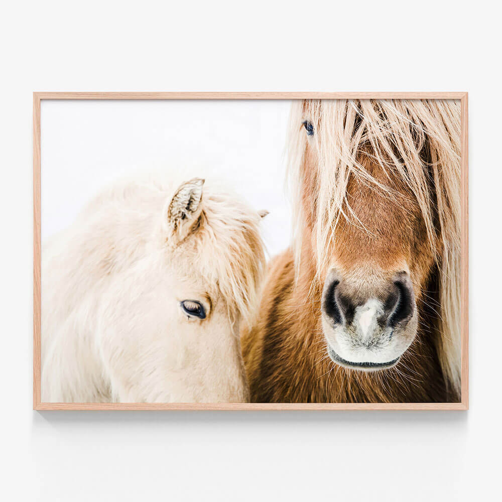 Wild Ponies