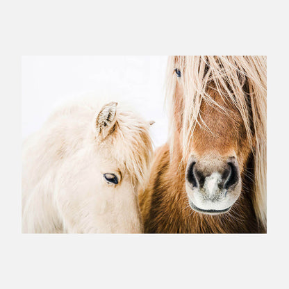 Wild Ponies