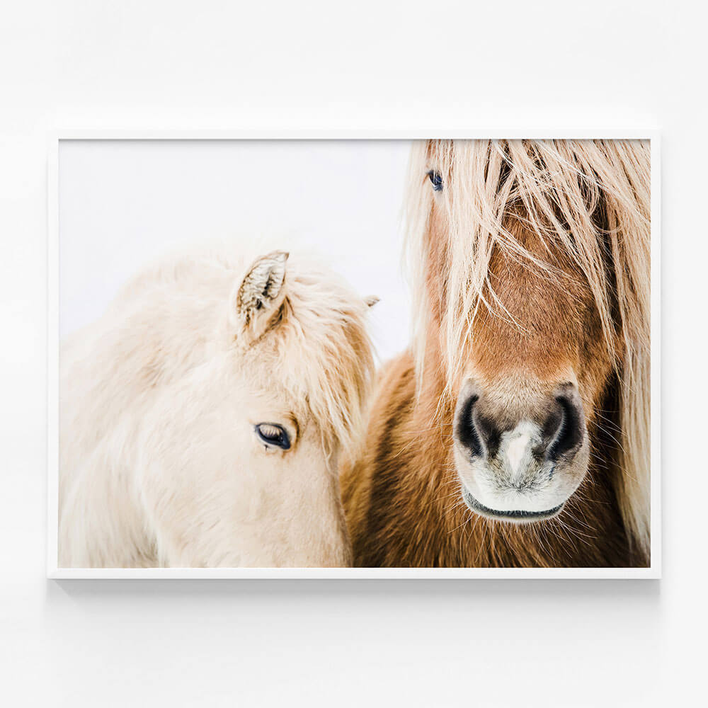 Wild Ponies