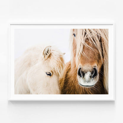 Wild Ponies