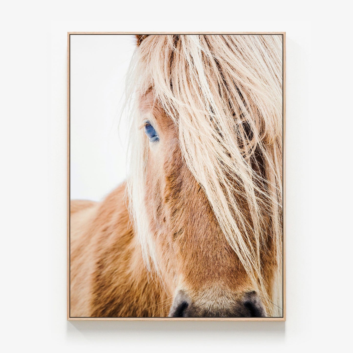 Wild Pony photo Canvas wall art print with oak float frame