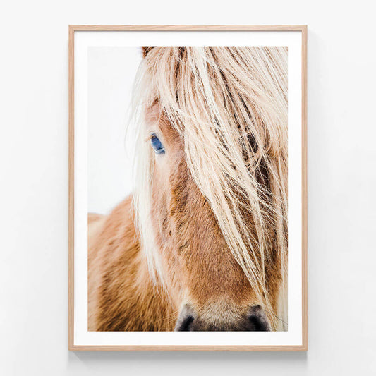 A framed print of a horse photo, close up detail of the mane and face.