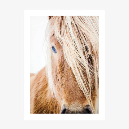 A photo wall art print featuring a close up of a horses face