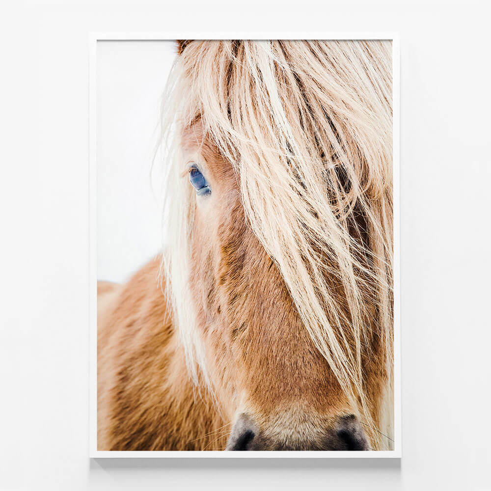 Wild Pony
