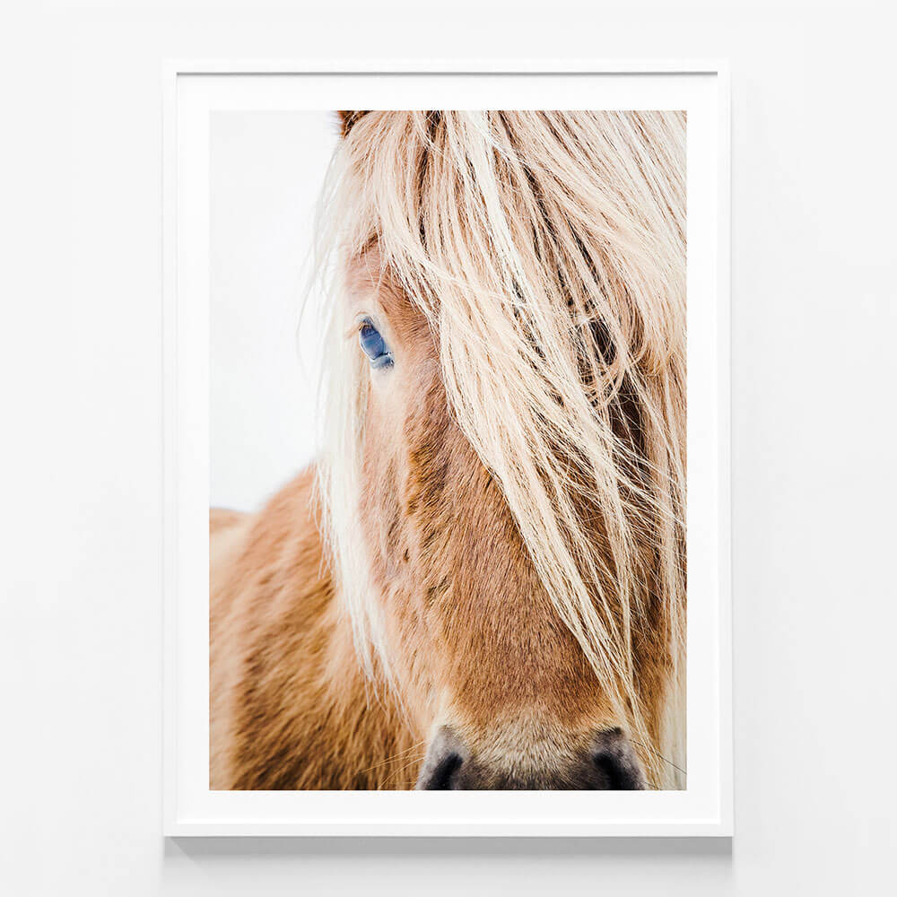 Wild Pony