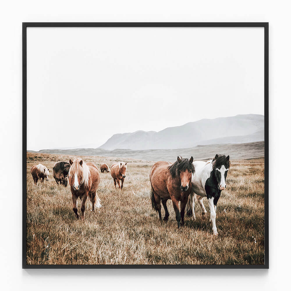Wild Stroll