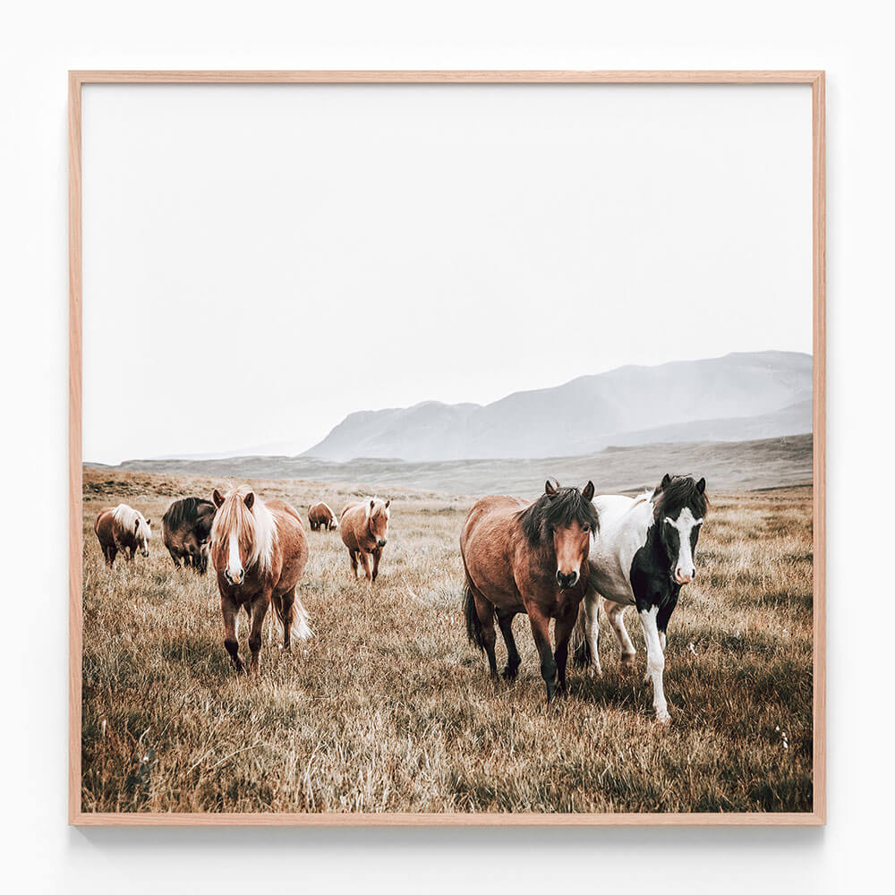 Wild Stroll