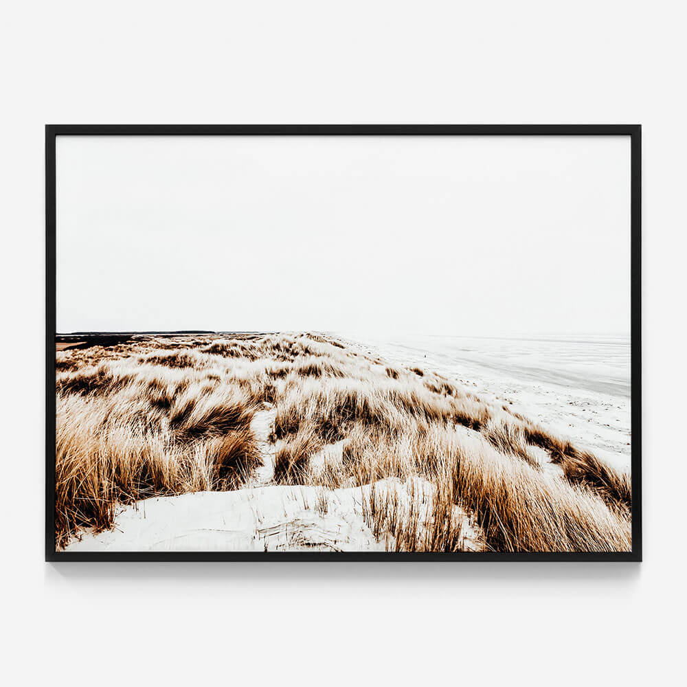 Winter Coast