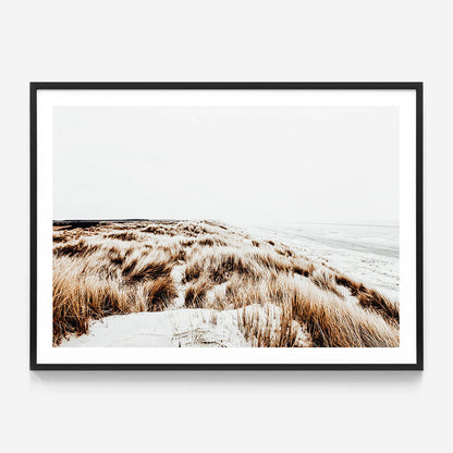 Winter Coast