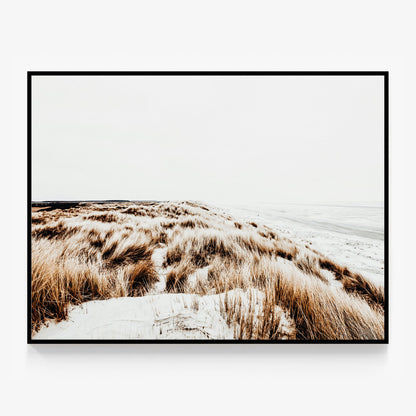Winter Coast Canvas