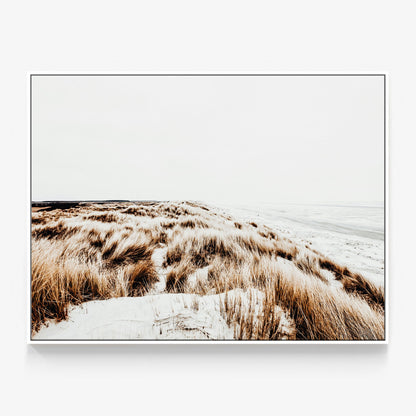 Winter Coast Canvas