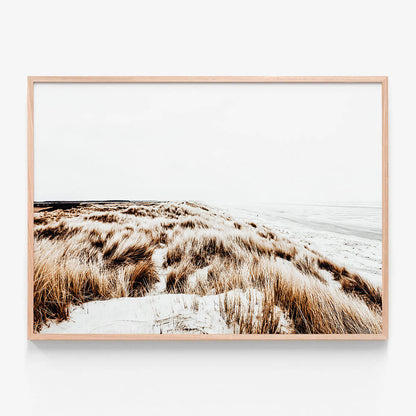 Winter Coast