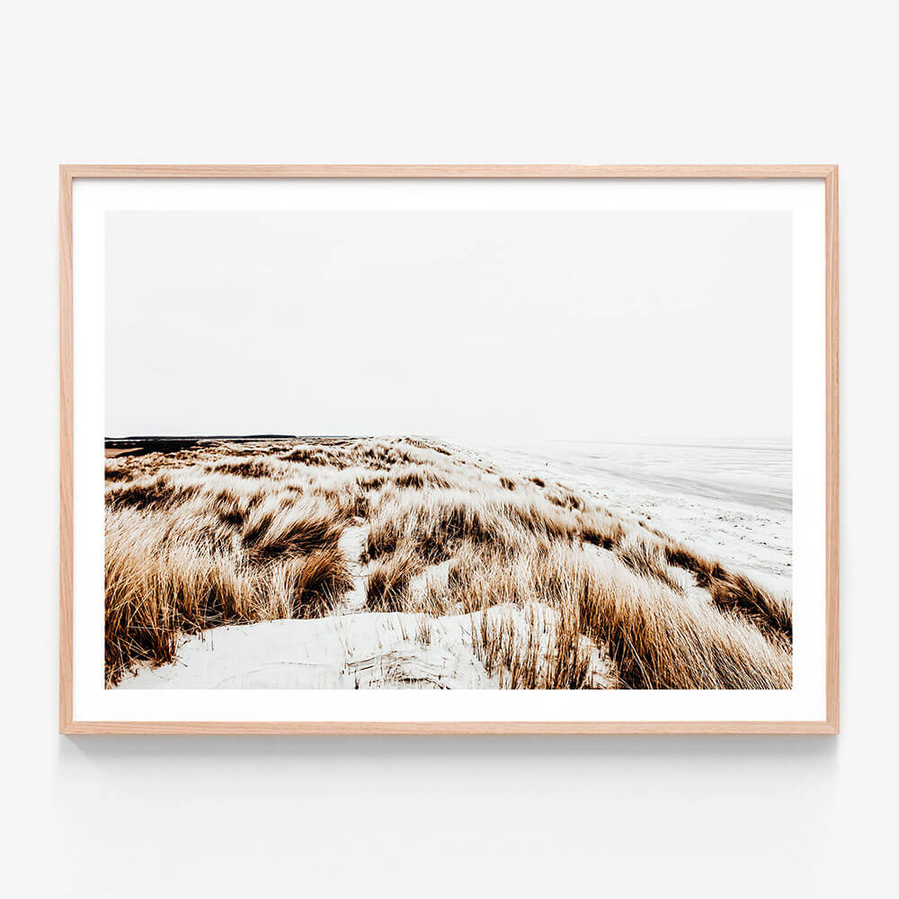 Winter Coast