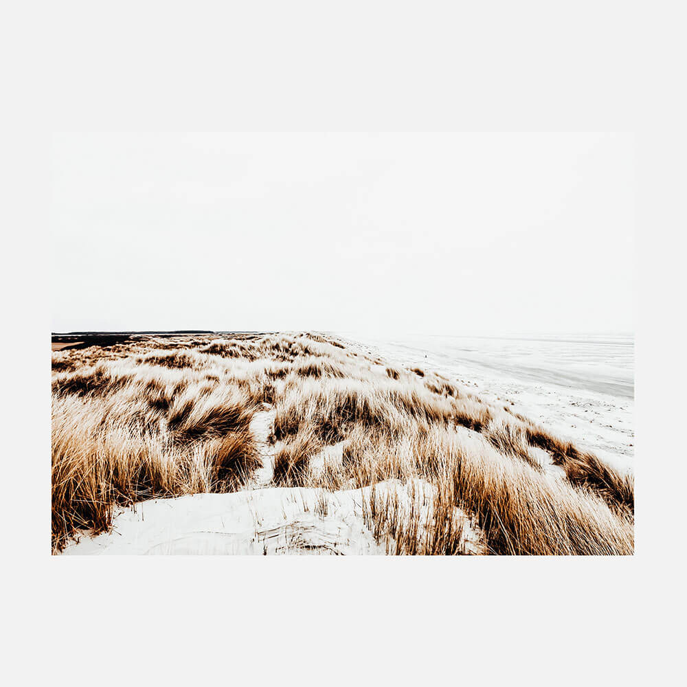 Winter Coast