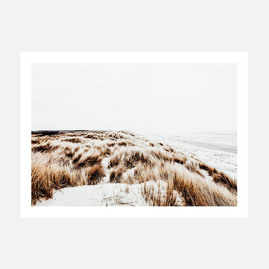 Winter Coast