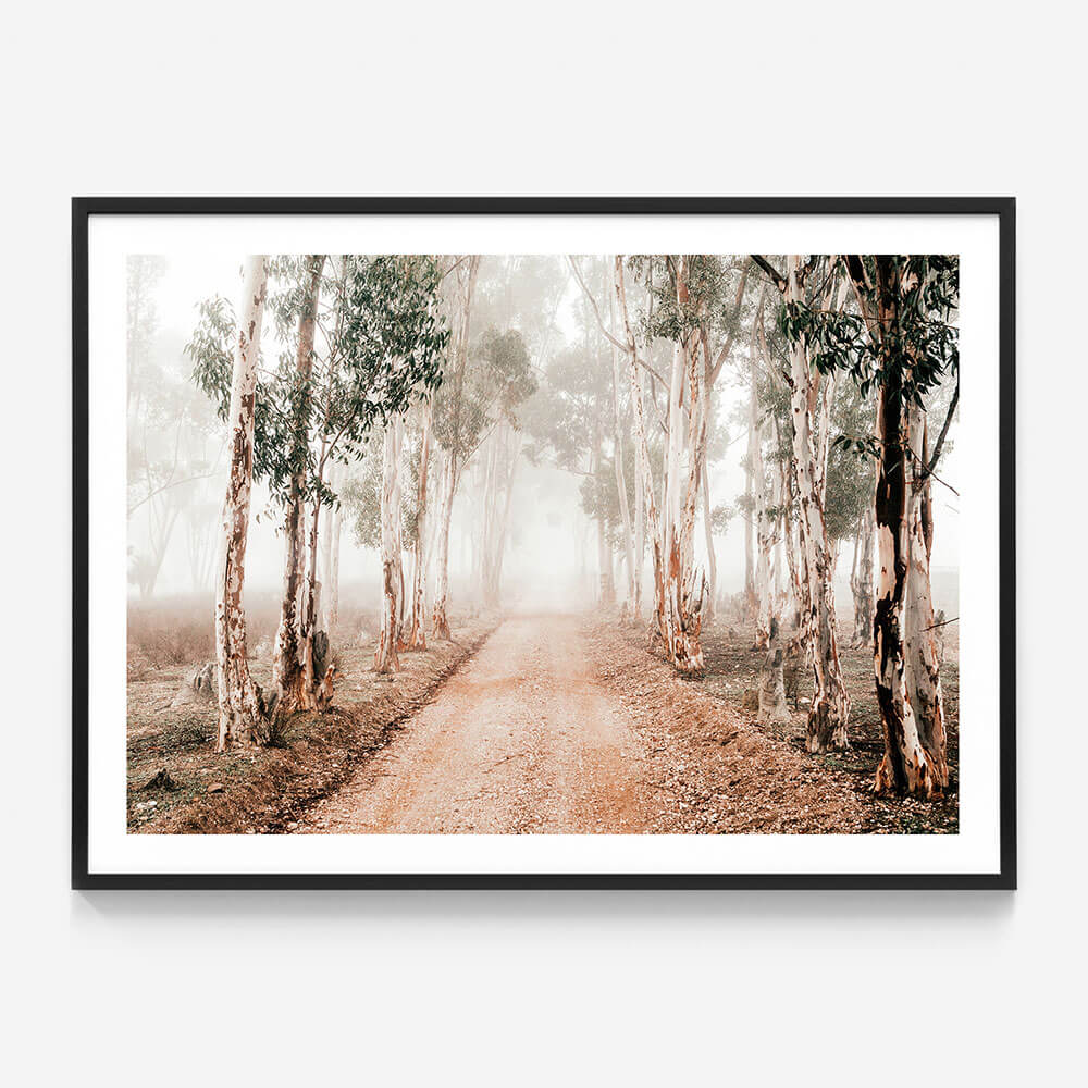 Winter Gums