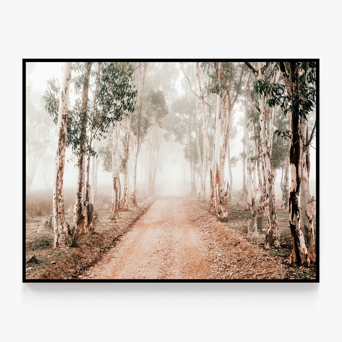 Winter Gums Canvas