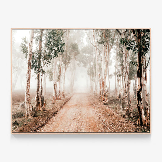 Winter Gums Canvas wall art print with oak float frame. Australian Landscape canvas print.