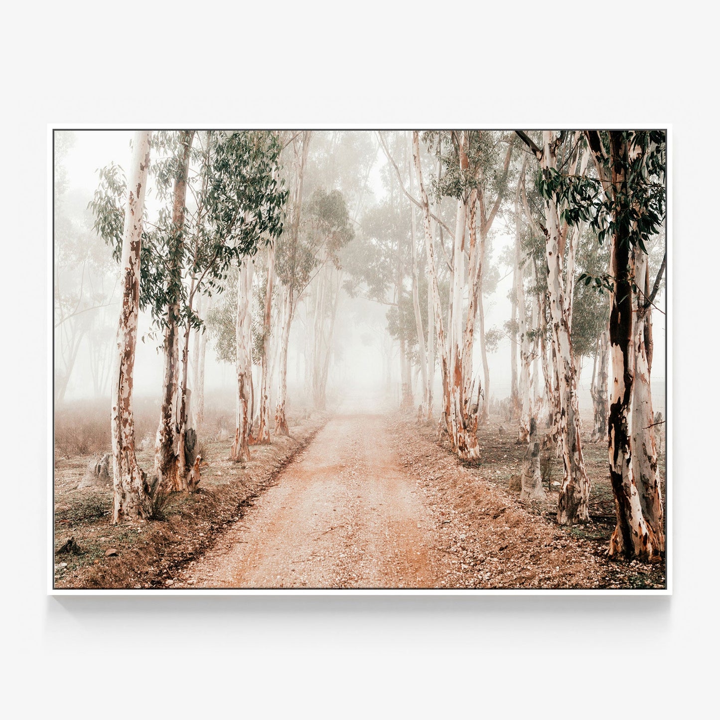 Winter Gums Canvas
