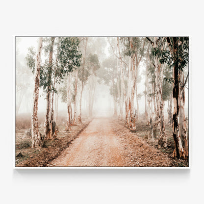Winter Gums Canvas