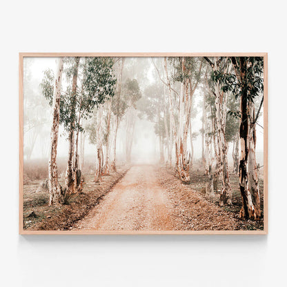 Winter Gums