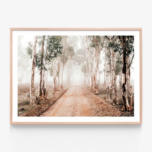 A framed photographic print of a misty forest road lined with gum trees, set in the rural Australian landscape.