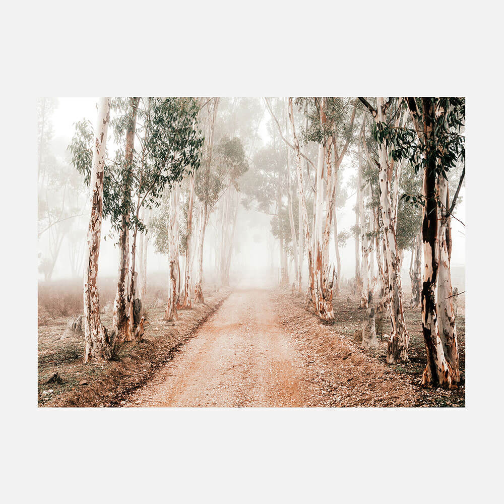 Winter Gums