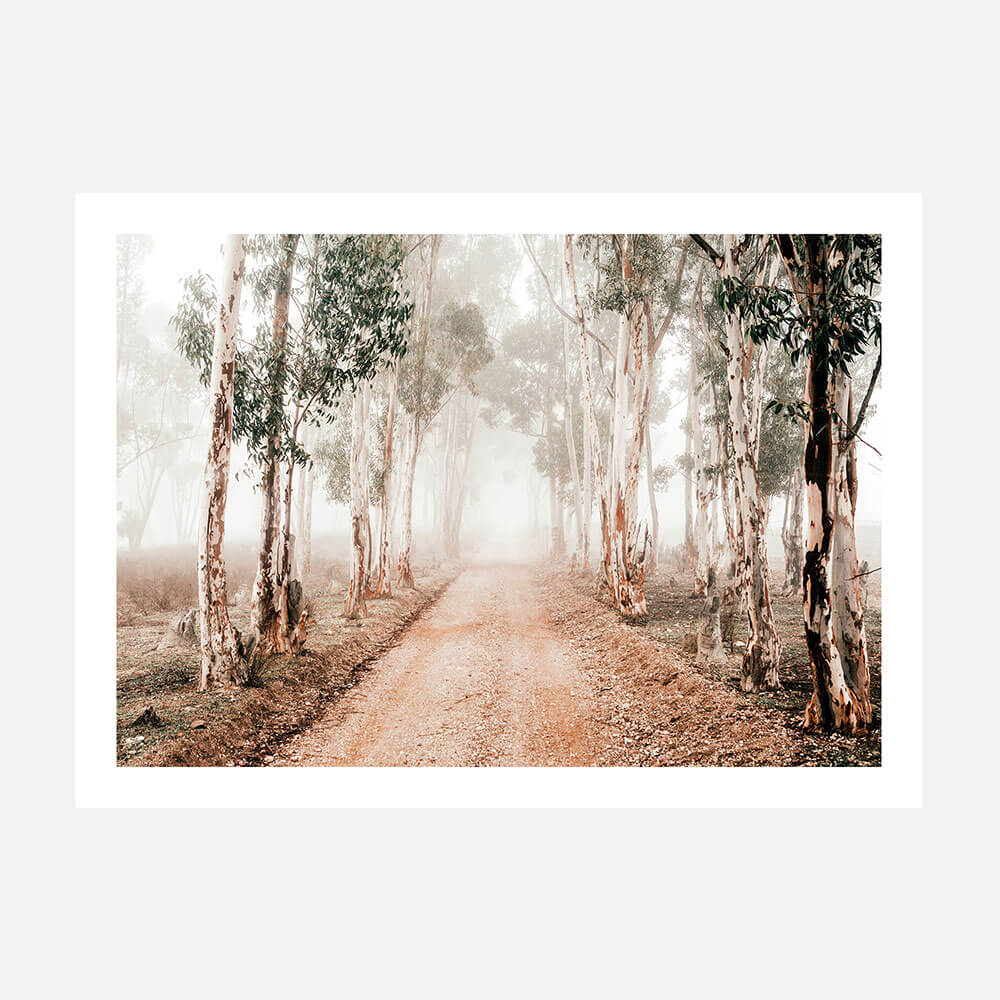 A photographic print of a misty forest road lined with gum trees, a predominantly beige and green color palette. In a rural Australian landscape.