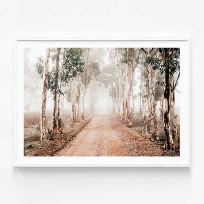 Winter Gums