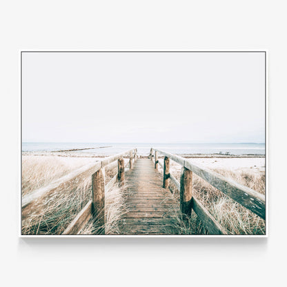 Wooden Pathway Canvas