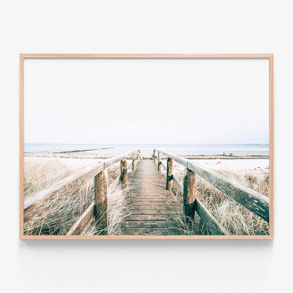 Wooden Pathway