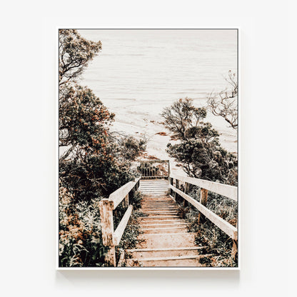 Wooden Steps Canvas