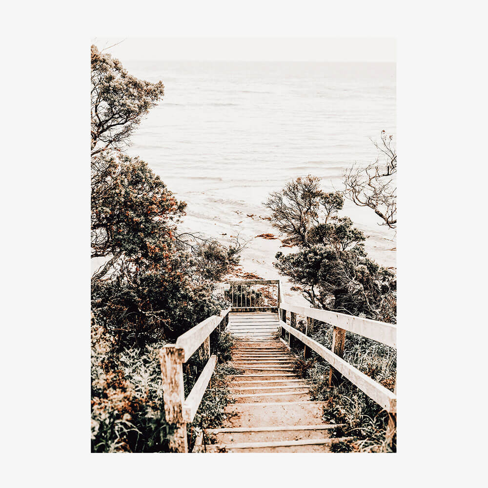 Wooden Steps