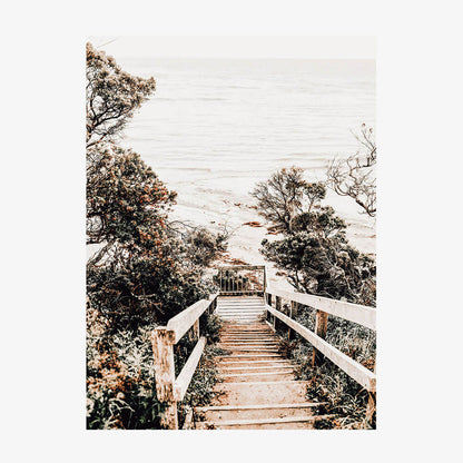 Wooden Steps