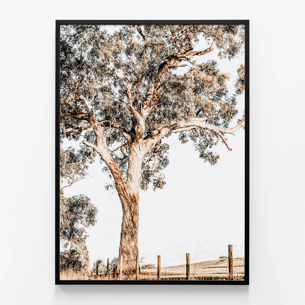 Yarra Valley