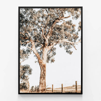 Yarra Valley