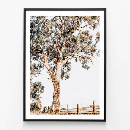 Yarra Valley
