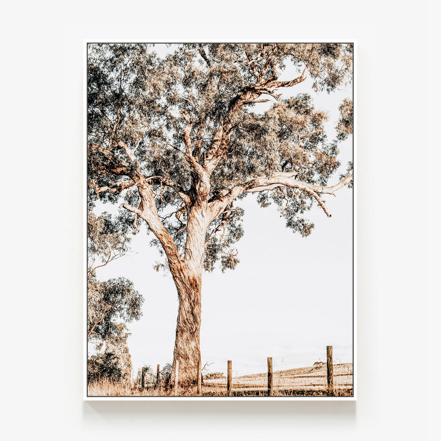 Yarra Valley Canvas