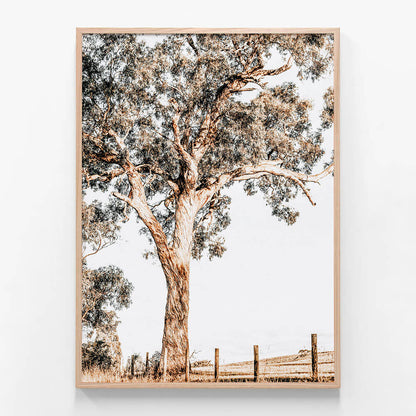 Yarra Valley