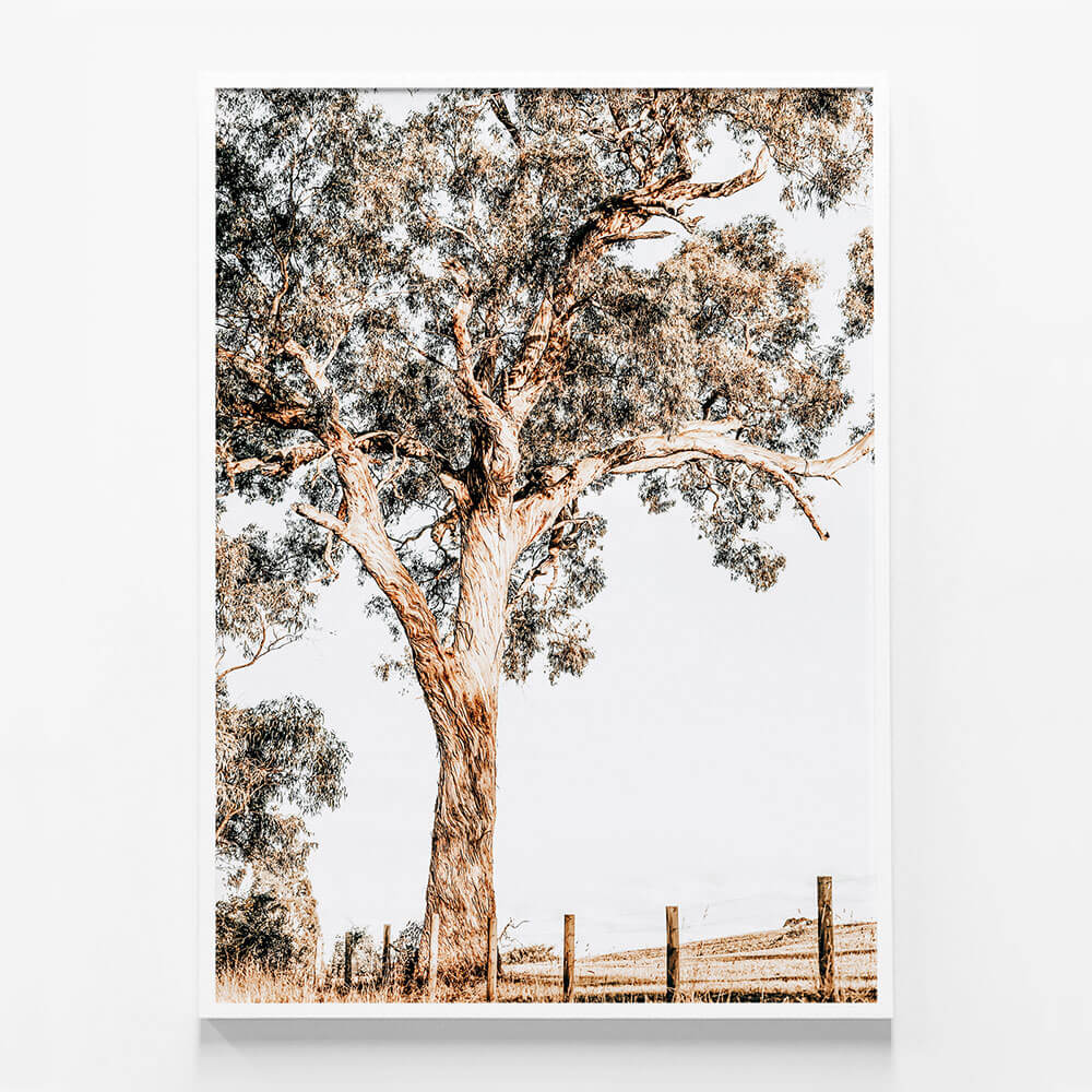 Yarra Valley