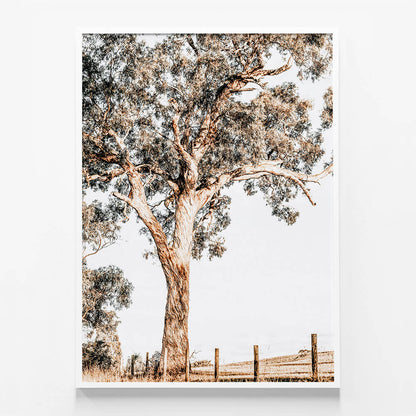 Yarra Valley