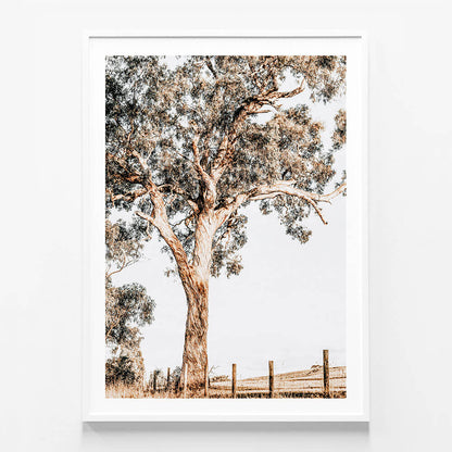 Yarra Valley